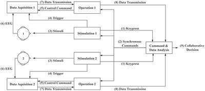 A Cross-Session Dataset for Collaborative Brain-Computer Interfaces Based on Rapid Serial Visual Presentation